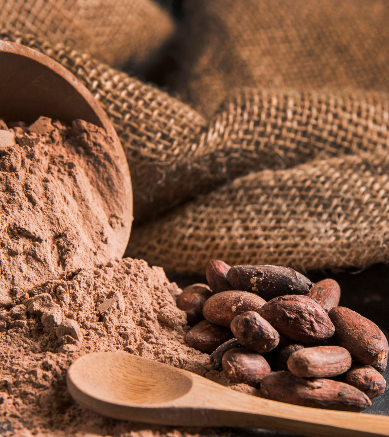 Superfood and the Powers of Cocoa 1
