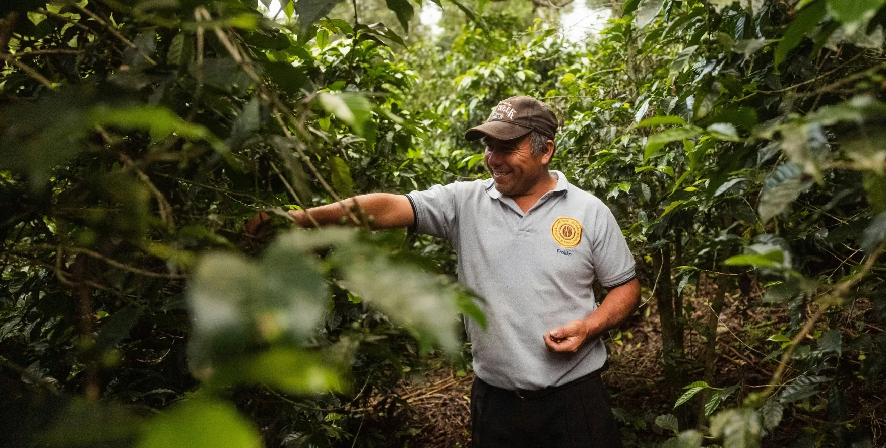 HOE ZIET DE TOEKOMST VAN CACAO ERUIT VOOR TELERS EN CONSUMENTEN? 2 Cacaoboer