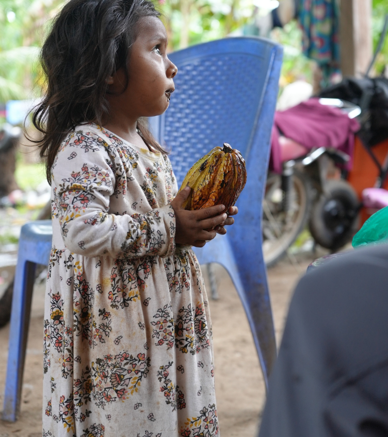 The Bittersweet Future of Cacao: For Farmers and Consumers 3