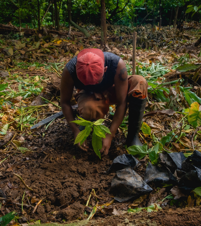 Can chocolate and cocoa improve your mood? What the Research Suggests (& WHy It Feels So Comforting) 2