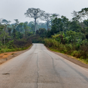 cocoa-production-cameroon