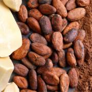cacao-powder-body-treatment-featured-image