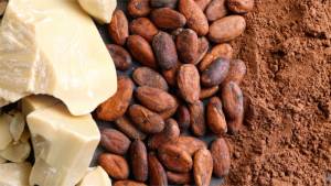 image-article-soin-corporel-à-la-poudre-de-cacao