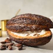 Cacao-caffeine-featured-Image