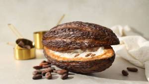 Cacao-caffeine-featured-Image