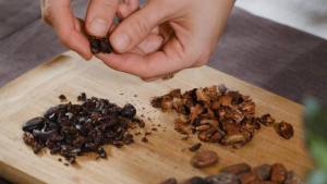 Différence entre cacao et cocoa