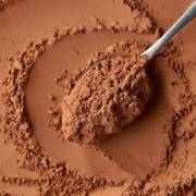 cacao powder