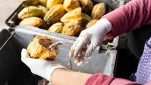 Résultats finaux : Inspirations et guide pratique