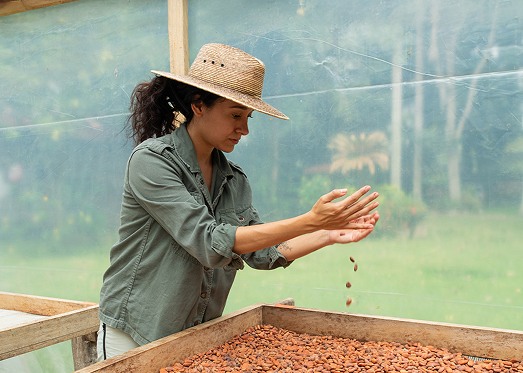 Home of Cocoa Circle 22