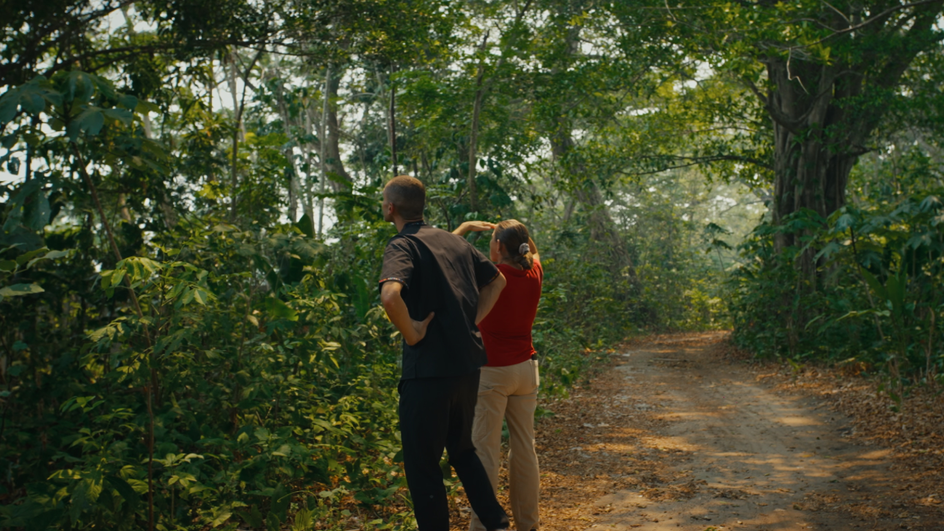 What We Learned at Hacienda La Luz: Lessons from a Mexican Cocoa Farmer 2 cacao jungle farm