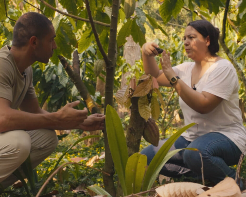 What We Learned at Finca Las Delias: Lessons from a Mexican Cocoa Farmer 3