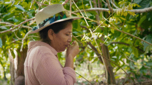 Regenerating Land, Culture and cocoa at Hacienda de la campesina 8