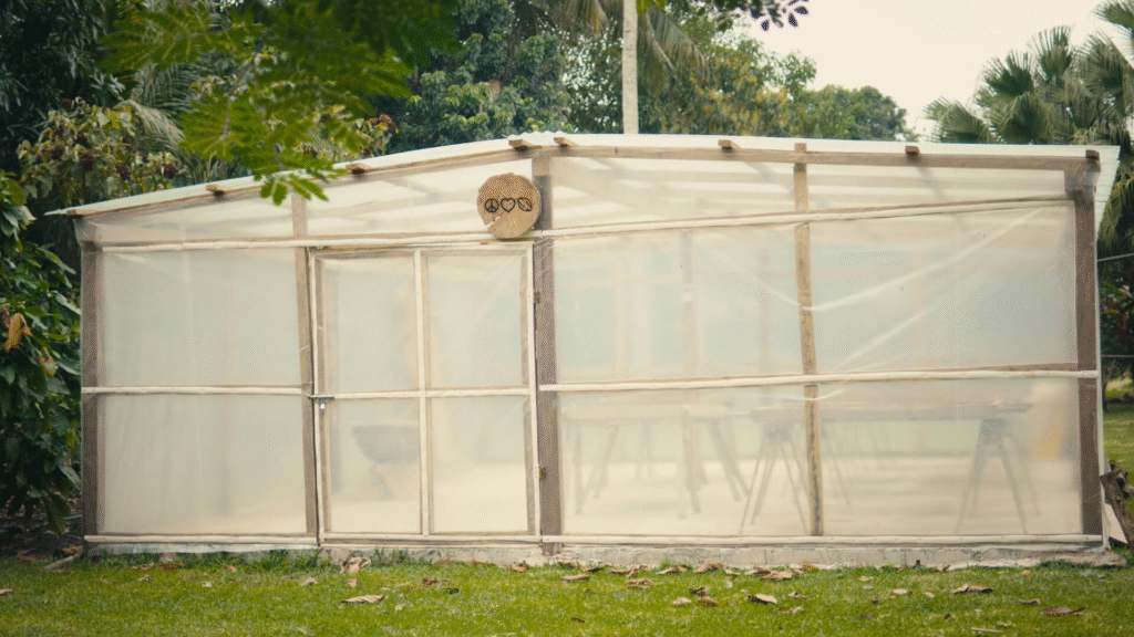 Drying Under Pressure:  How Two Cocoa Farms Are Adapting to Climate Challenges 12