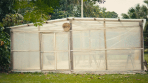 Drying Under Pressure: How Two Cocoa Farms Are Adapting to Climate Challenges 14 Drying Under Pressure: How Two Cocoa Farms Are Adapting to Climate Challenges 8