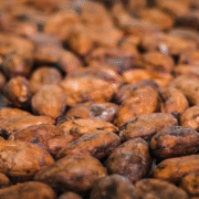 Roasting Cocoa Beans 8