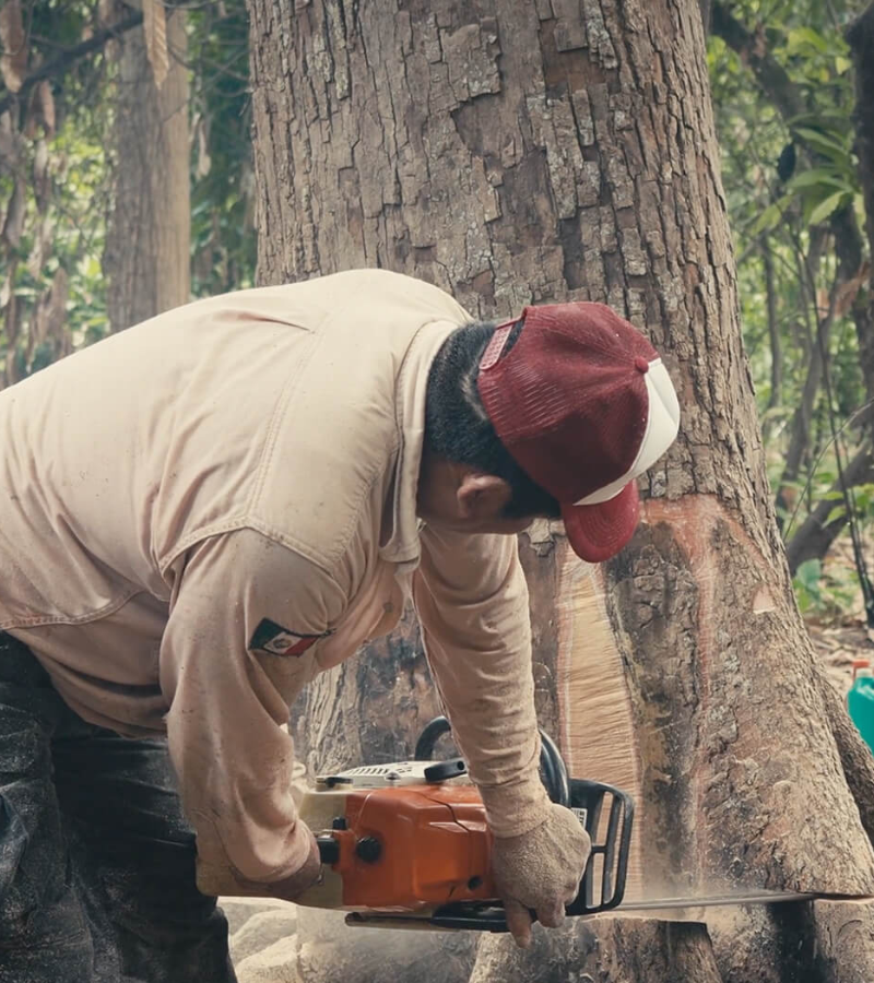 Drying Under Pressure: How Two Cocoa Farms Are Adapting to Climate Challenges 4 Drying Under Pressure: How Two Cocoa Farms Are Adapting to Climate Challenges 4