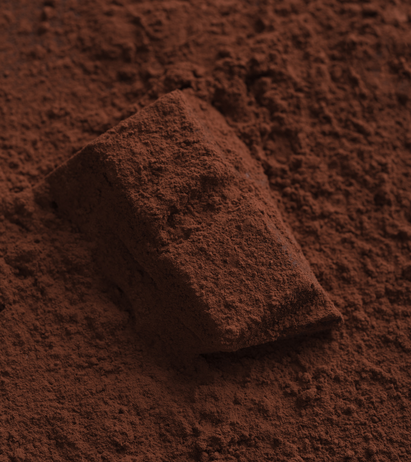 Cacao Bean Processing: From Bean to Chocolate 9