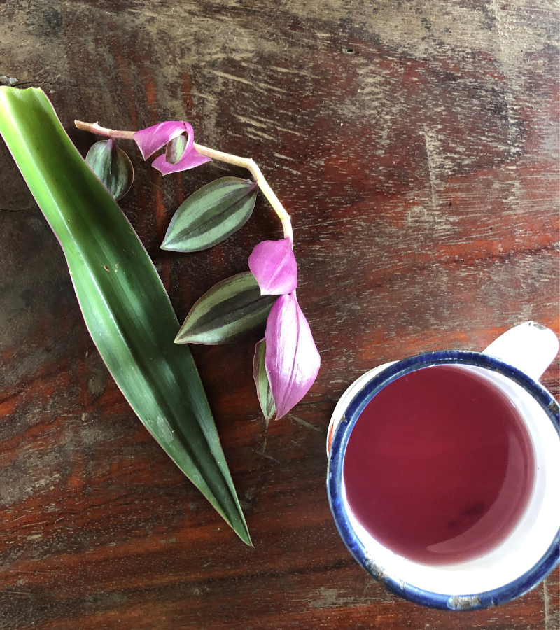 What We Learned at La Campesina del Cacao: Lessons from a Mexican Cocoa Farmer 3