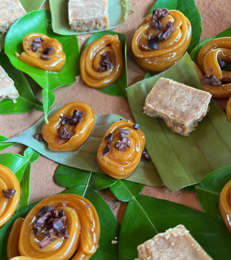 What We Learned at La Campesina del Cacao: Lessons from a Mexican Cocoa Farmer 5