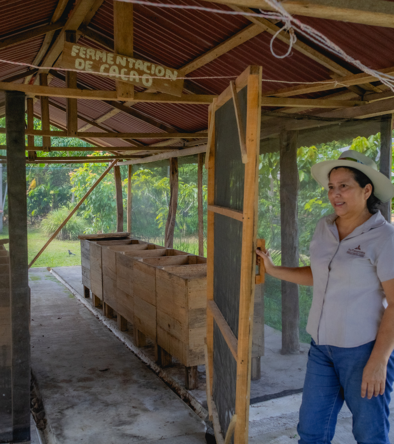 What We Learned at La Campesina del Cacao: Lessons from a Mexican Cocoa Farmer 4