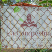 What We Learned at La Campesina del Cacao: Lessons from a Mexican Cocoa Farmer 11