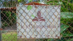 What We Learned at La Campesina del Cacao: Lessons from a Mexican Cocoa Farmer 3