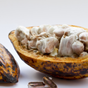 What Are Cacao Beans? Everything You Need to Know 8